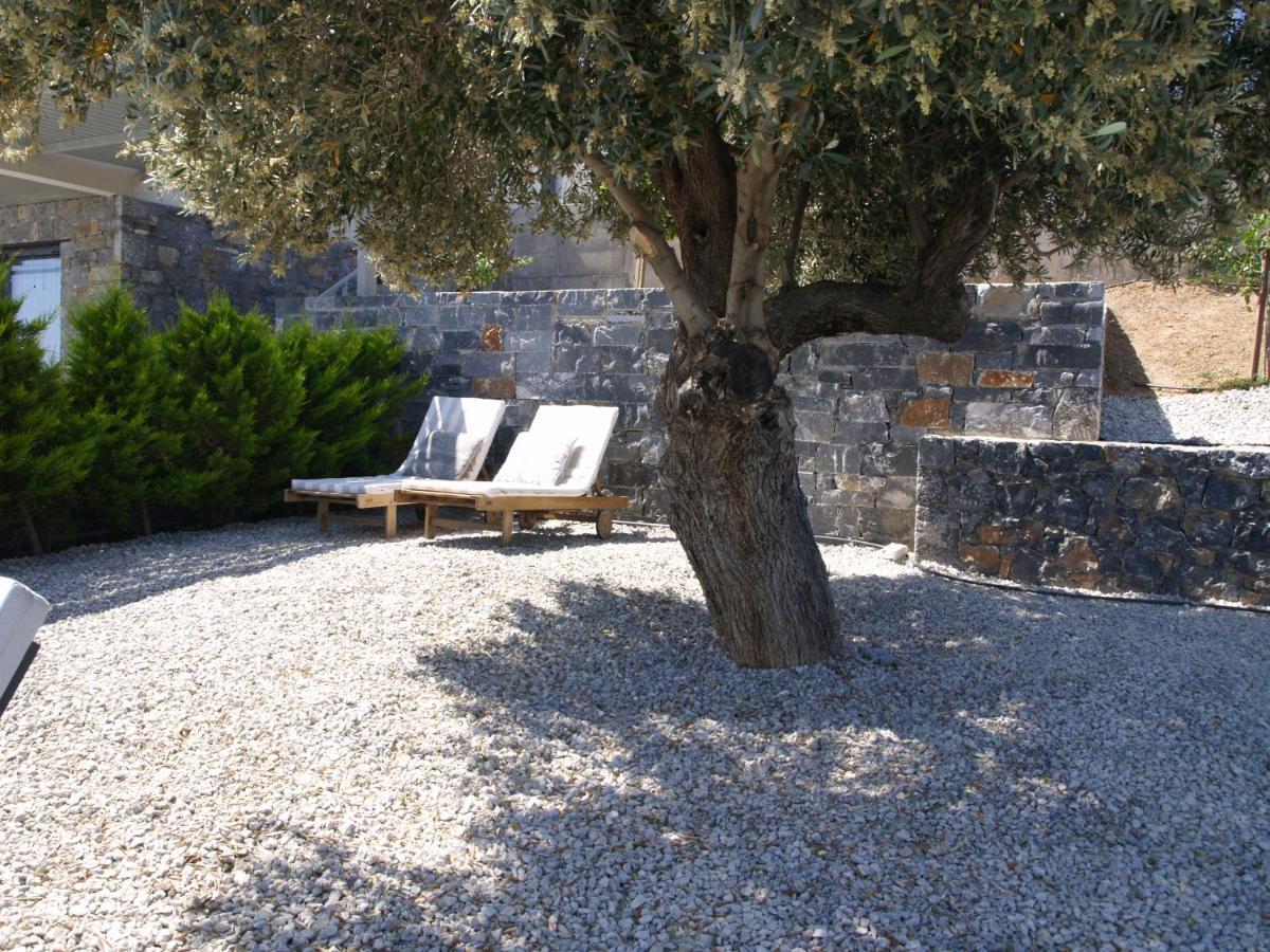 Miros Mare Studios Agia Galini Dış mekan fotoğraf